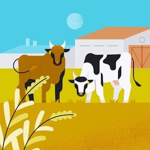 Meet your Posher, Victoria